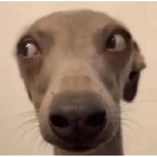 Стикер oh tamam  | via sticked.app - 2