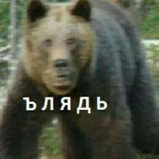 Ъ | via sticked.app - 