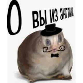 Sticker емае | via sticked.app - 3