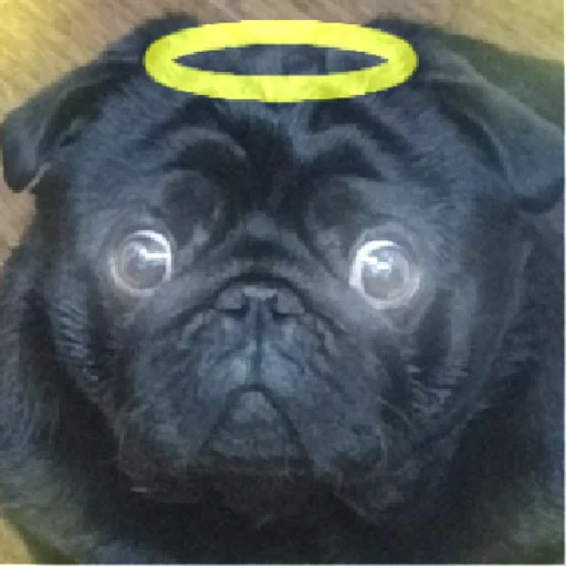 Стикер sticked_5223595303_1_by_StickedApp_bot - 1