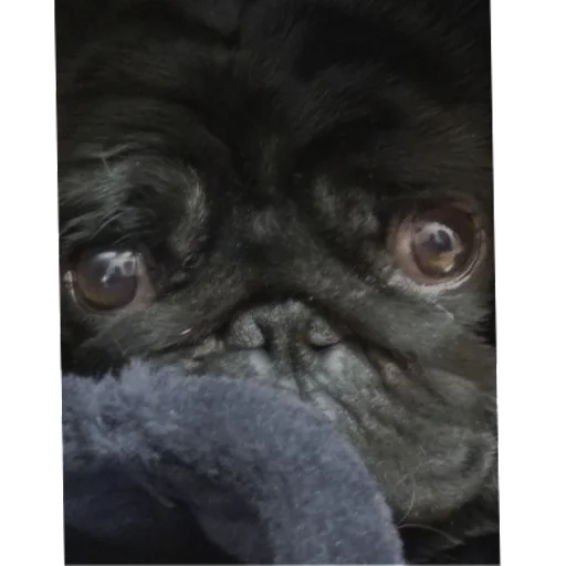 Стикер sticked_5223595303_1_by_StickedApp_bot - 1