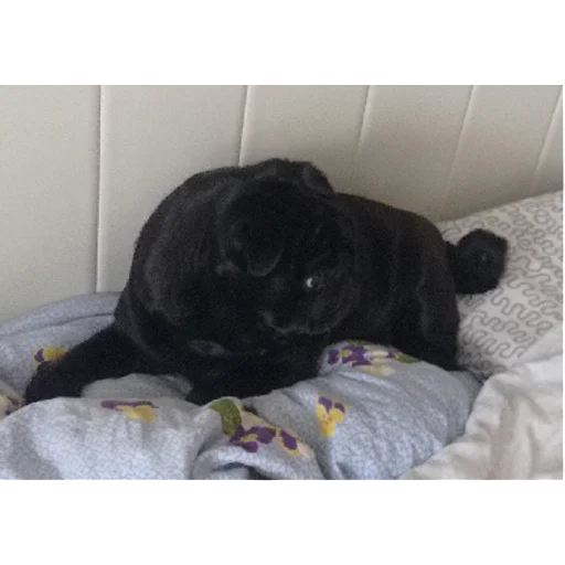 лу | via sticked.app - 