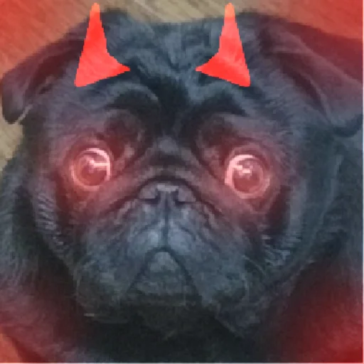 Sticker sticked_5223595303_1_by_StickedApp_bot - 1