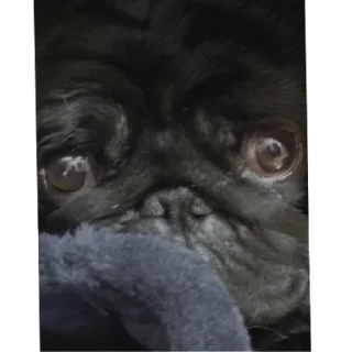 Стикер лу | via sticked.app - 4