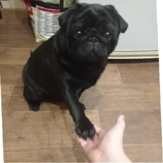 Стикер лу | via sticked.app - 9