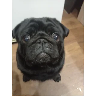 Стикер лу | via sticked.app - 7