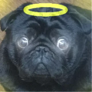 Стикер лу | via sticked.app - 8