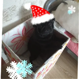 Стикер лу | via sticked.app - 5