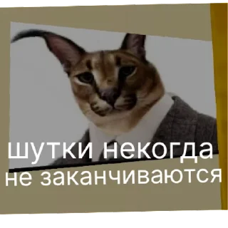 Sticker дурдом | via sticked.app - 4