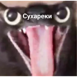 Sticker дурдом | via sticked.app - 0