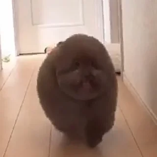 Sticker Ипучие | via sticked.app - 2