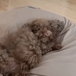 Sticker Ипучие | via sticked.app - 6