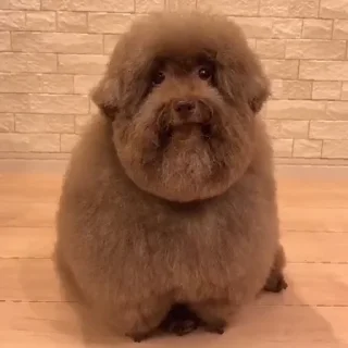 Sticker Ипучие | via sticked.app - 5