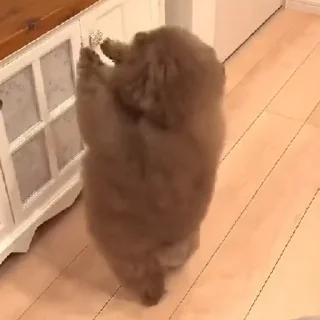 Sticker Ипучие | via sticked.app - 7