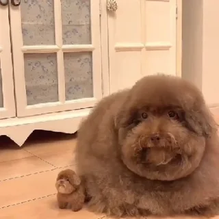 Sticker Ипучие | via sticked.app - 4