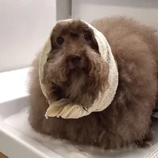 Sticker Ипучие | via sticked.app - 9