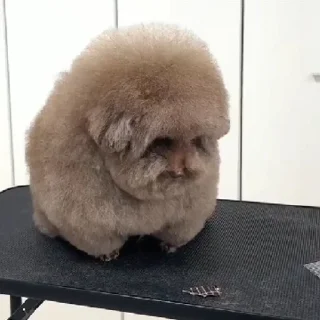 Sticker Ипучие | via sticked.app - 11