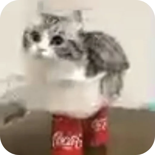 Стикер sticked_5541009292_1_by_stickedapp_bot - 1