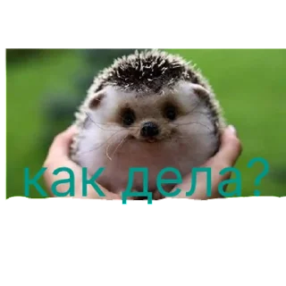 Sticker бабиролка | via sticked.app - 4