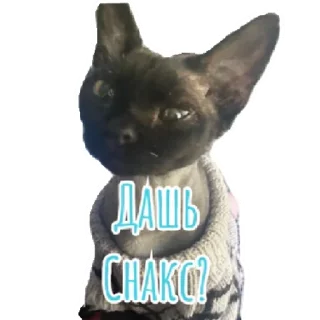 Стикер За БОЧКУ до КОНЦА | via sticked.app - 11