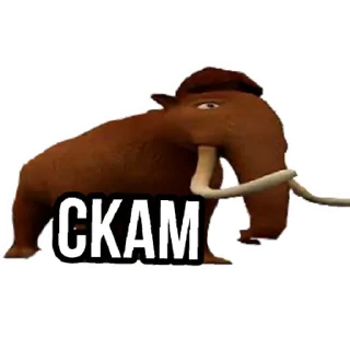 Sticker ответы мега | via sticked.app - 7