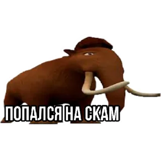 Sticker ответы мега | via sticked.app - 11