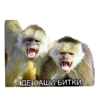 Sticker ответы мега | via sticked.app - 10