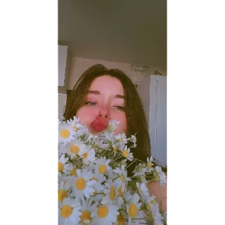 Sticker Fox❤️ | via sticked.app - 6