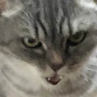 Sticker Богини этого мира | via sticked.app - 0