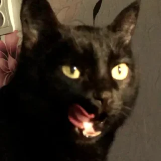 Sticker Богини этого мира | via sticked.app - 11