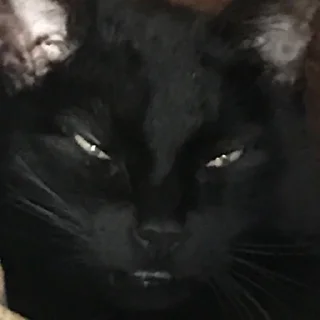 Sticker Богини этого мира | via sticked.app - 7