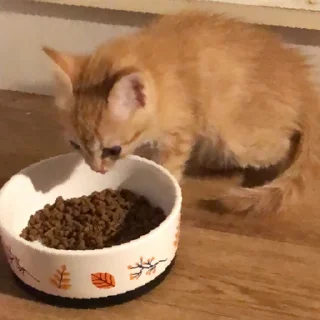 Sticker Богини этого мира | via sticked.app - 6