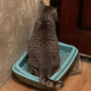 Sticker Богини этого мира | via sticked.app - 10