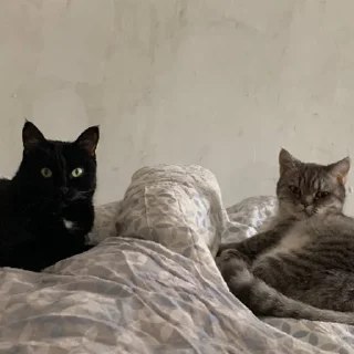 Sticker Богини этого мира | via sticked.app - 5