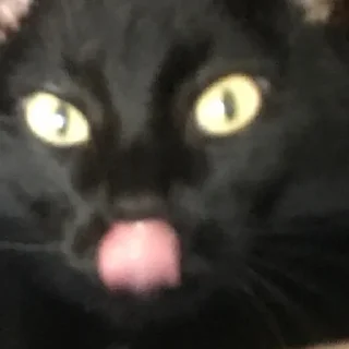 Sticker Богини этого мира | via sticked.app - 3