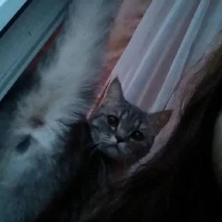 Sticker Богини этого мира | via sticked.app - 9