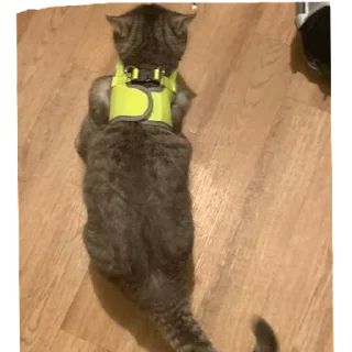 Sticker Богини этого мира | via sticked.app - 4