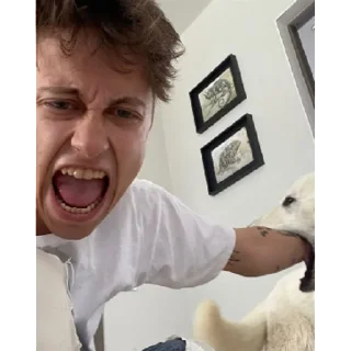 Sticker 🕸derfilsej | via sticked.app - 1