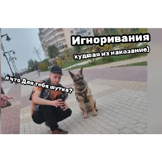 Sticker шутки | via @StickedApp_bot - 7