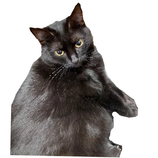 Беда | via sticked.app - 