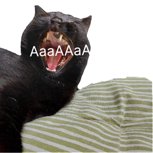 Sticker sticked_660675194_1_by_StickedApp_bot - 1