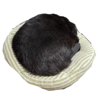 Стикер Беда | via sticked.app - 7