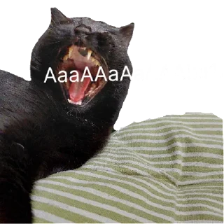 Стикер Беда | via sticked.app - 8