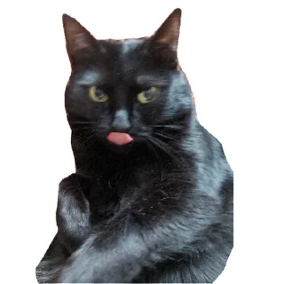 Стикер Беда | via sticked.app - 2