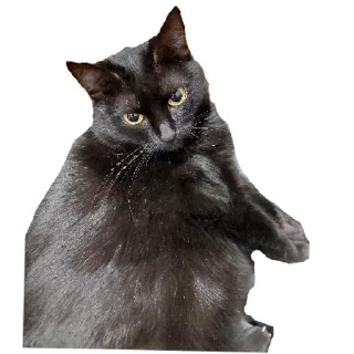 Стикер Беда | via sticked.app - 11