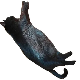 Стикер Беда | via sticked.app - 3