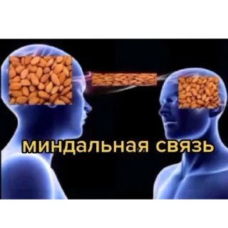 Стикер Мой любимые стикеры из разных наборов - 1