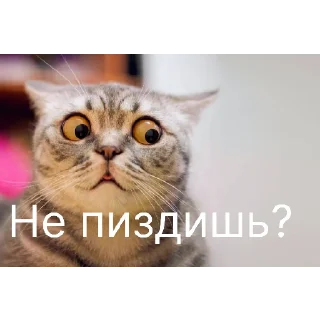 Стикер легенда  | via @StickedApp_bot - 11