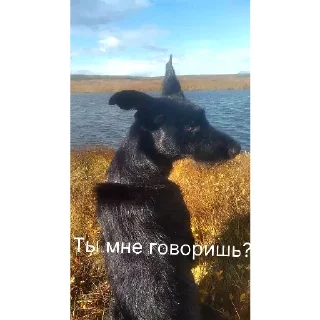 Стикер легенда  | via @StickedApp_bot - 3