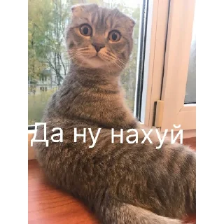 Стикер легенда  | via @StickedApp_bot - 2